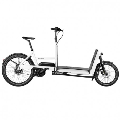 Riese und Müller Transporter2 65